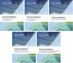 2024 FRM Parte 2 Schweser Note