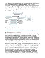 2024 FRM Parte 2 Schweser Note