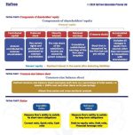 芬特里果汁笔记 2024 CFA 一级