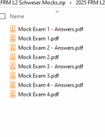 FRM 2025 Mock Exams Part 2